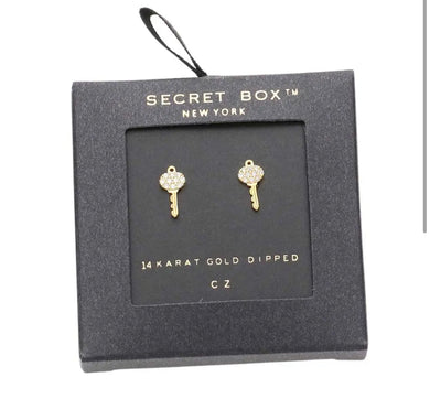 Secret Box 14K Gold Dipped CZ Key