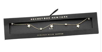 Secret Box 14K Gold Dipped CZ Star Pendant Necklace